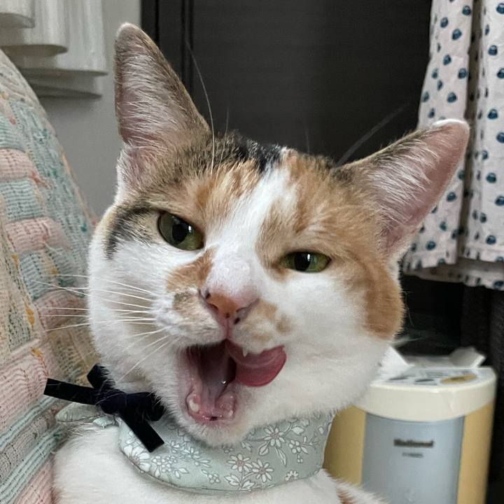 C9426769 fb7d 407d bbbd 640bf4f3541e 1662280508209