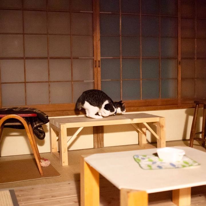 C9427b7e 6810 4d2d 8679 5caf3325c546 1579103949381