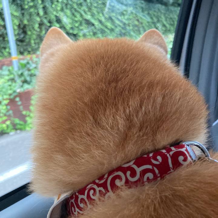 C942c236 b6d1 46b0 a3e5 a525319c8747 1634634409323