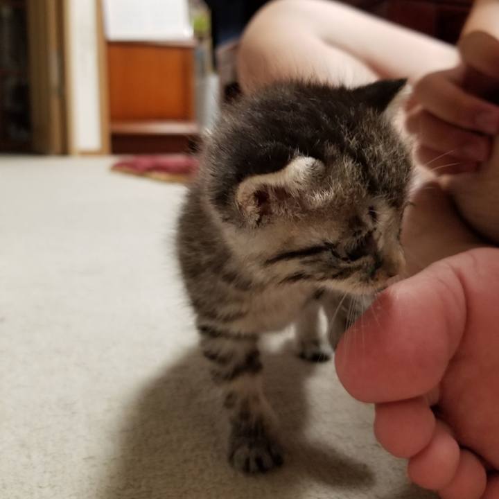 C943051c 8c3d 485a 854d 5e6140575819 1660145181576