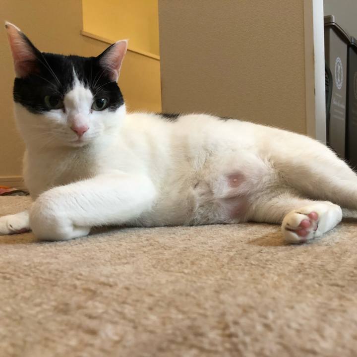 C9431311 e987 4981 96c2 4b22c9fb2f95 1516850936978