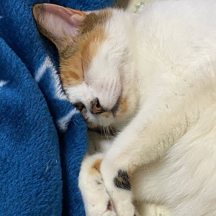 C94330c4 3d8c 48c2 a485 b85dc24b12f3 1601739026532