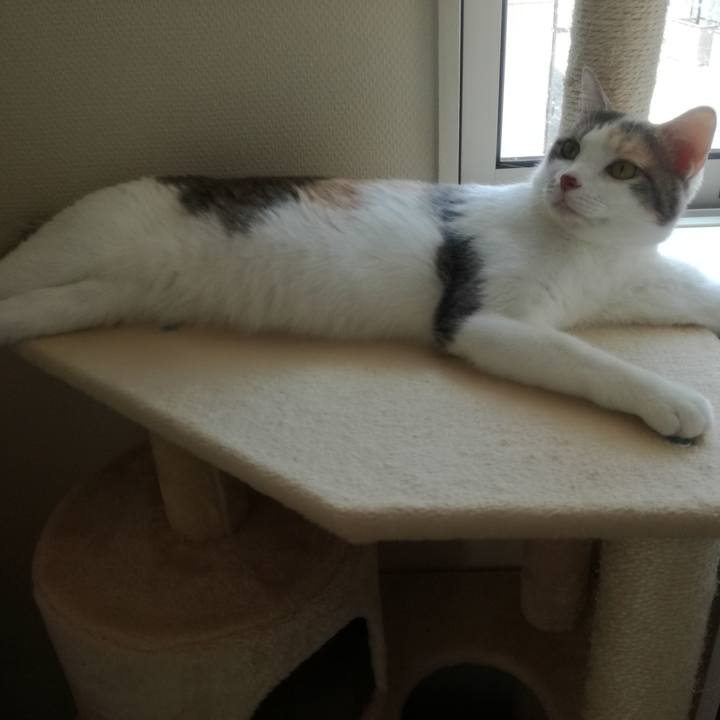 C9433954 1678 4efd aabc 9ea3a559176f 1526541108020