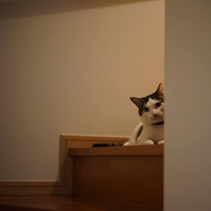 C9434c1d dae5 4b12 a859 90a4a571d54f 1525218022615