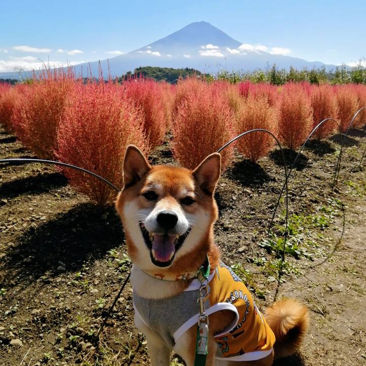 C9436996 106a 4246 b5b5 2c91da5ac390 1633960410275