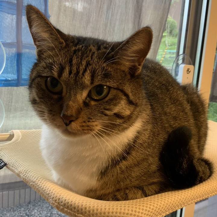 C9438af4 7260 4a42 bd4e c77841aa2402 1695422492733