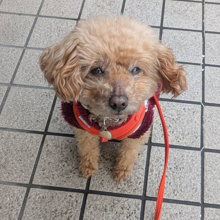 C9439608 105d 48e3 9abc 0f0713a3cb47 1772580110546