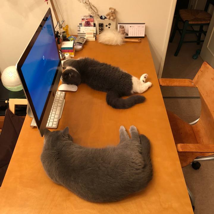 C943dec6 980f 46e7 9e74 e4959d23c16d 1525695778984