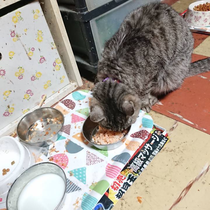 C943f129 2d89 410d 8bb4 56b840d04d69 1588711219133