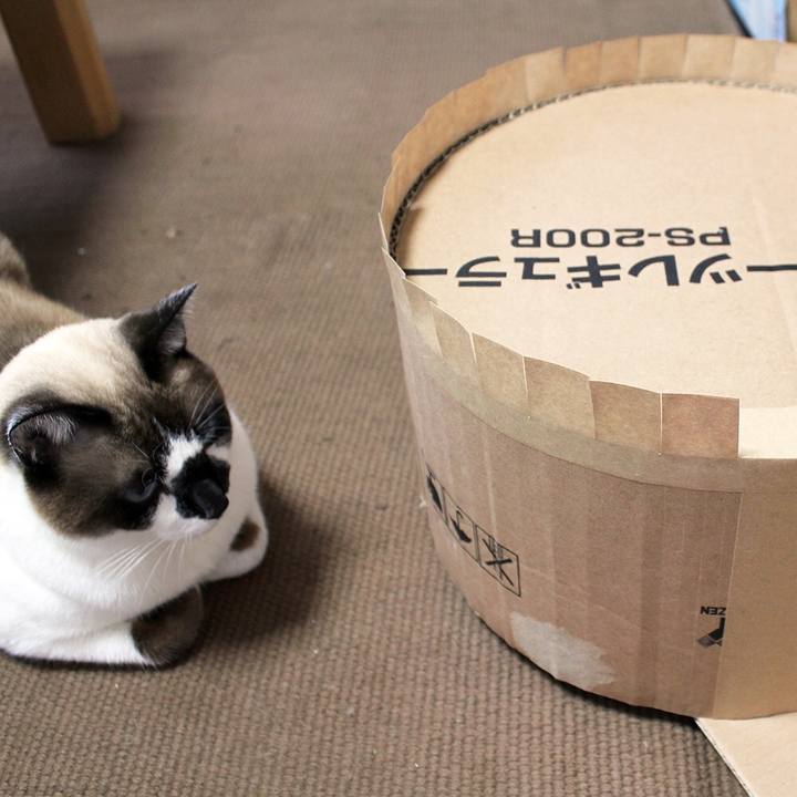 C94417ff 11c8 43e6 bd9a d2cf43d94bcd 1538911551866