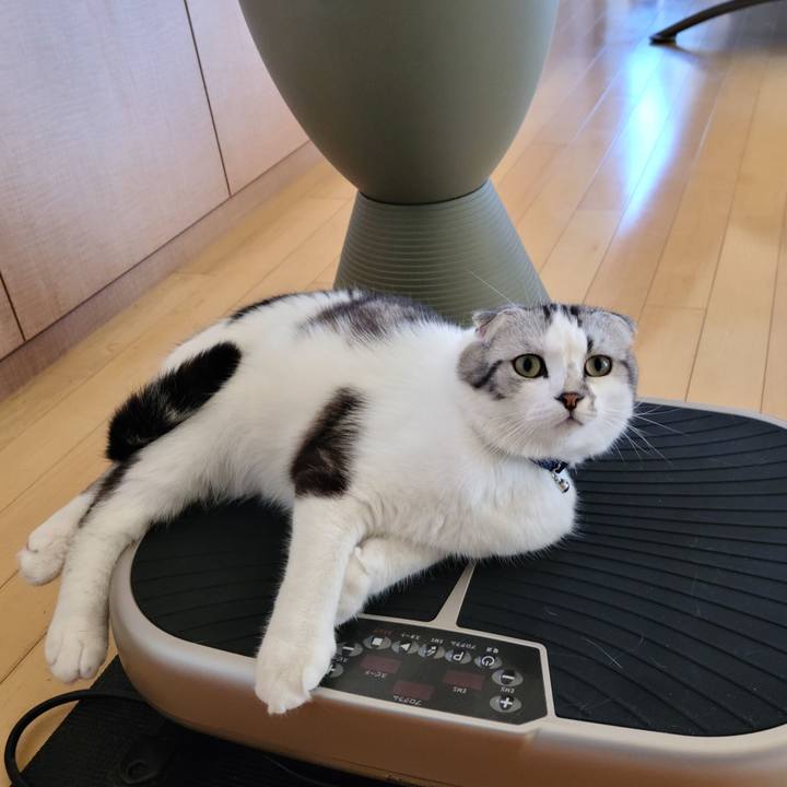 C944703c a388 41ef 9099 acc4eeb3512f 1653285970395