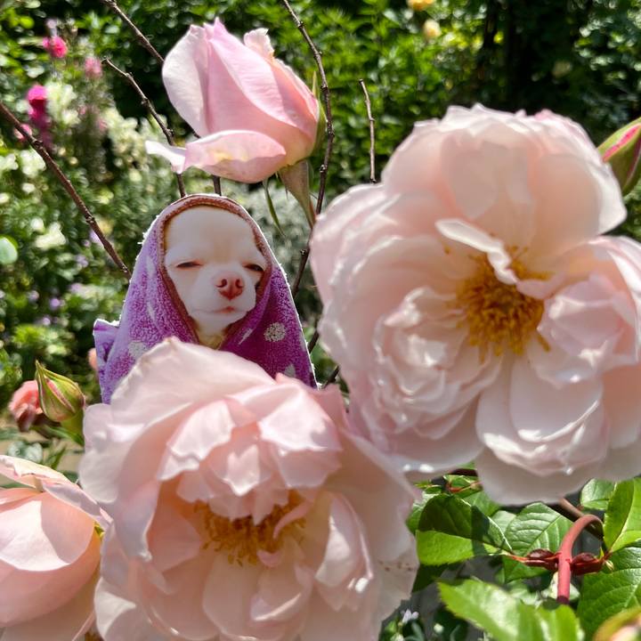 C9447e91 c870 4c8c 901b 51c8b8d7c887 1653188266727