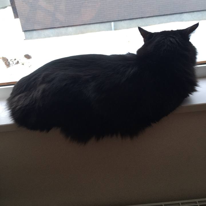 C944d9df 0eab 471f 8c99 d335ed6b5e85 1515201342276