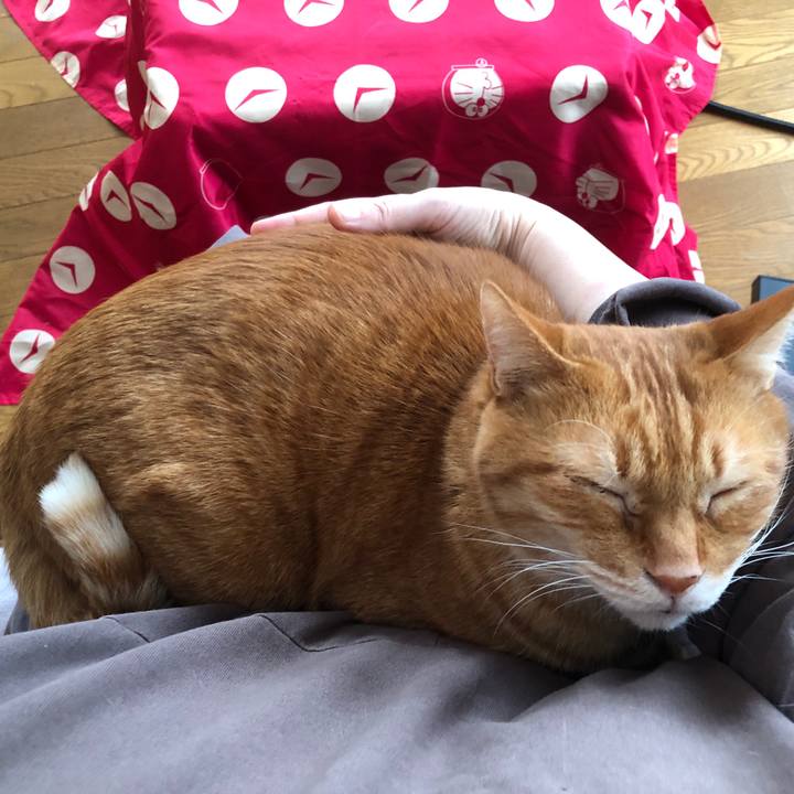 C944df7c ba10 46d3 95f3 6337f9db03ee 1700866458527