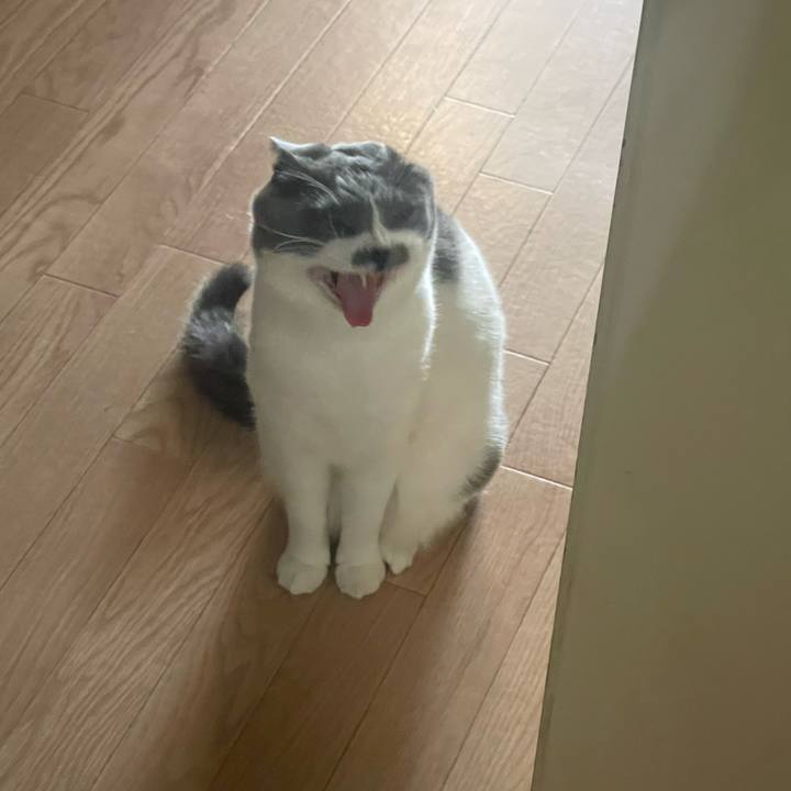 C944f79a b73f 4af3 9e8c fe34540a284c 1700804201597