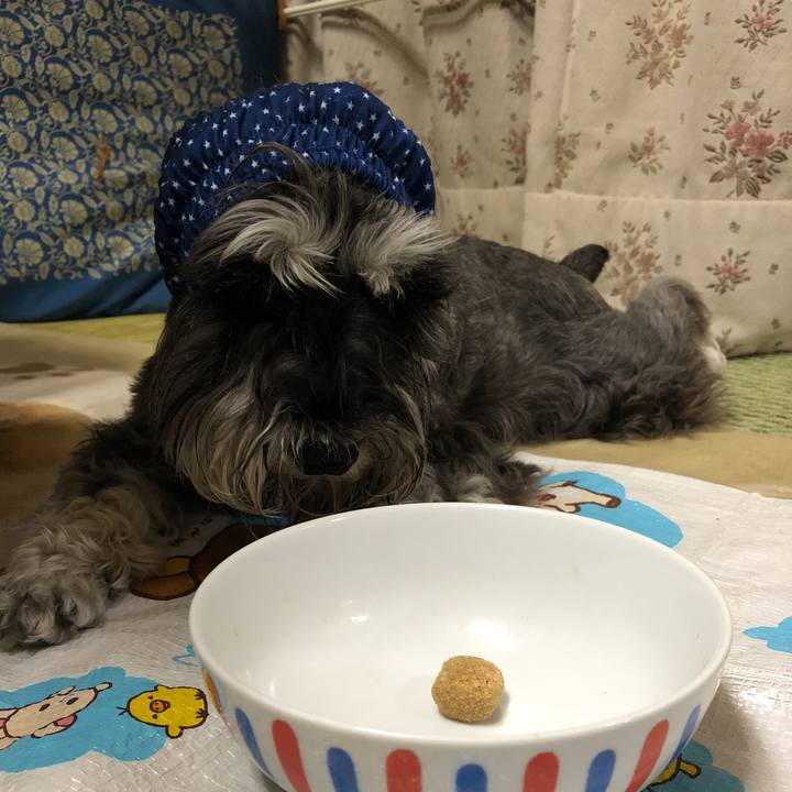 C945283e 49a9 4767 93ad 1ba0e33dbf2a 1527853531247