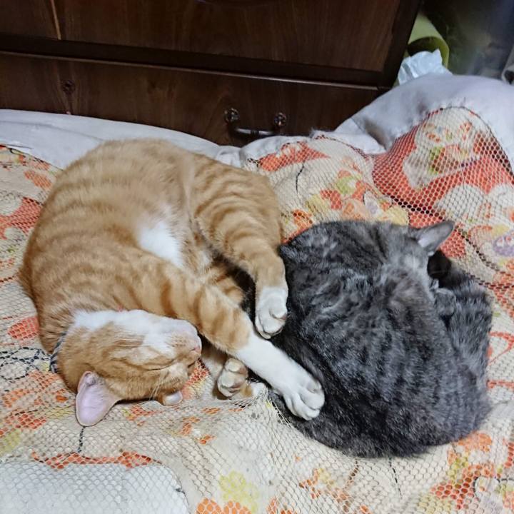 C94529cf 3896 4035 b516 65da65b72b7a 1604318586014