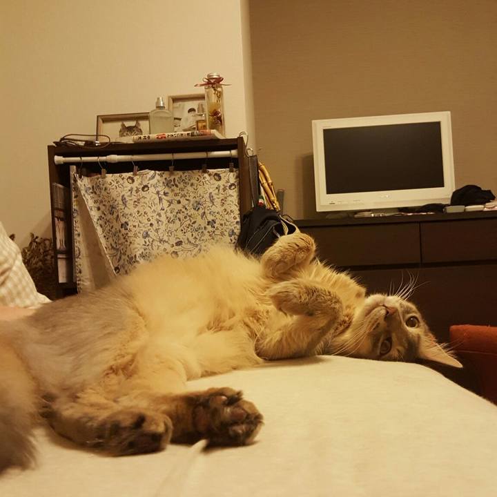 C9454723 b239 4923 b270 627dc06b823b 1559736745930