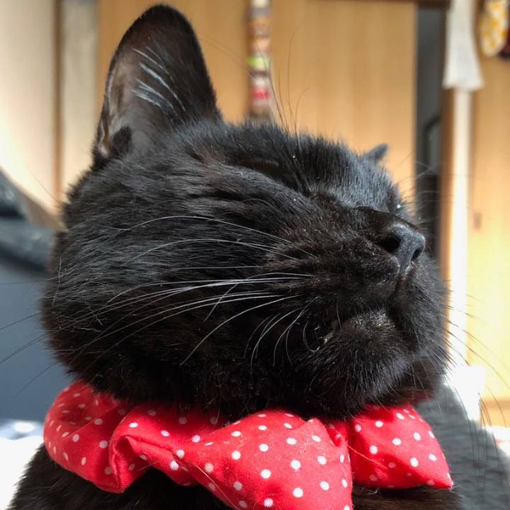 C94558d1 f79d 4747 89a1 61352ebd5d63 1648857231447