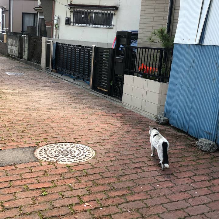 C945d32e 7b72 40ea b60f 5851d5a7116b 1589719801177