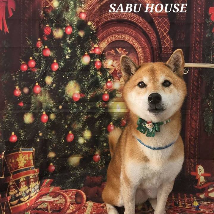 C945d8d8 55b4 4f3a 9907 d1dcb1d66909 1733918683690