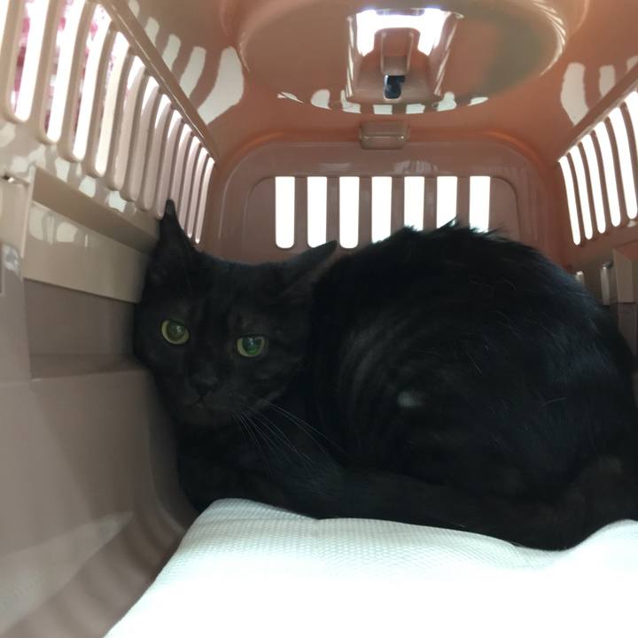 C945e9aa 2d20 4642 9f3d ab46e2f37571 1561878916646