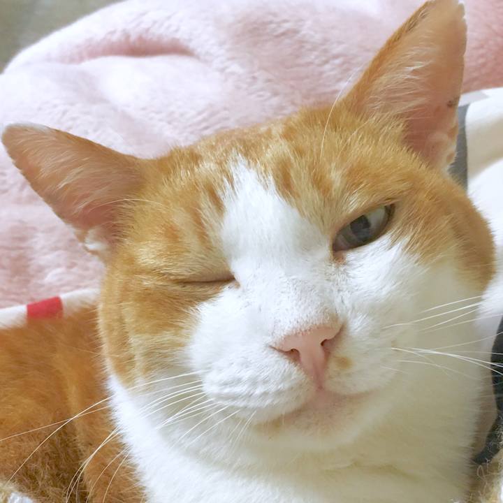 C945eb86 f63c 4f54 913d f56405a58250 1570183298113