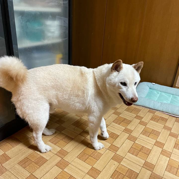 C9463dcf e36c 49c1 aff3 8983c7da1b57 1655219088896