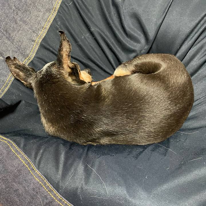 C9465bf7 5ae0 4916 9391 6cef9bcc474b 1599335664097