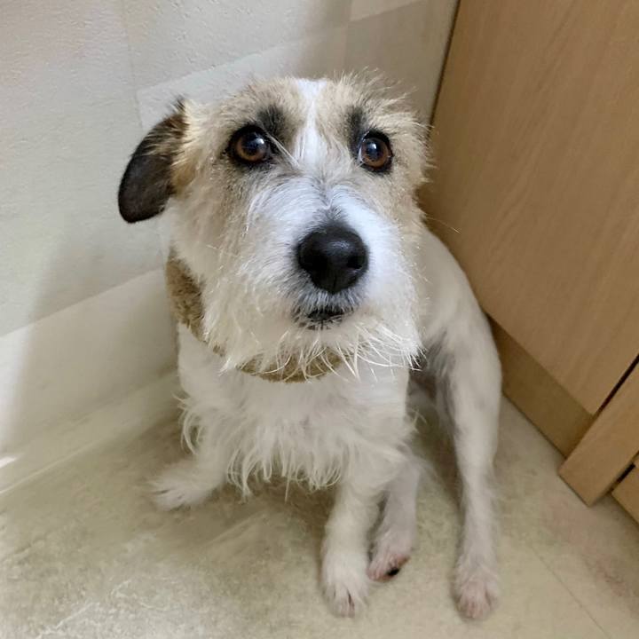 C94678e9 bffd 40f1 b902 10560e9727bf 1679874514943