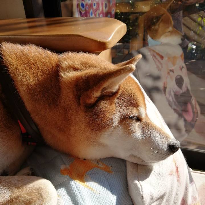 C946bb5e a6b3 438d bfd5 02ee63c2989c 1642310408780