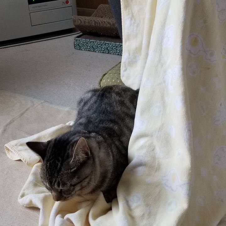 C946bd4d d0c5 4d0f 8cd2 c69865fbe1b6 1688222138262