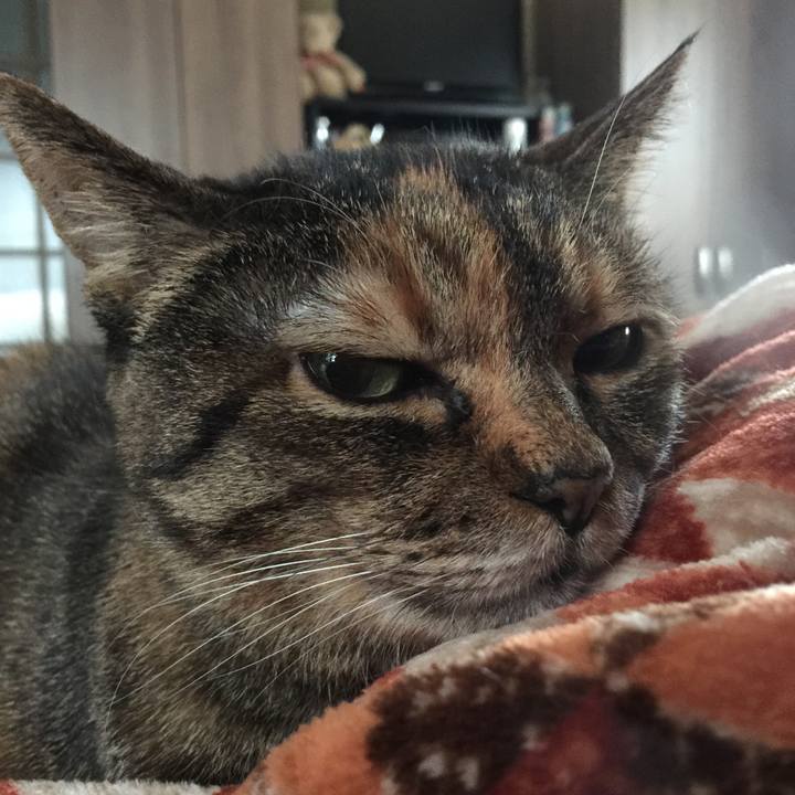 C946d95a 544a 4b7f 885a 1da7fb9331e9 1516261536521