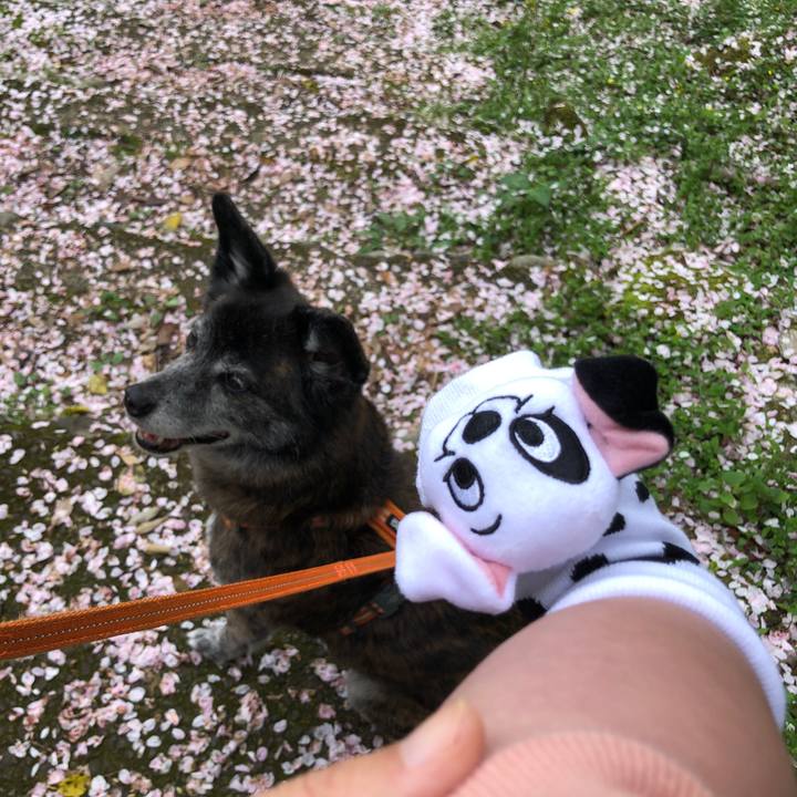 C946dce7 7cce 4dd2 8896 7b5d13f02da4 1713602622249