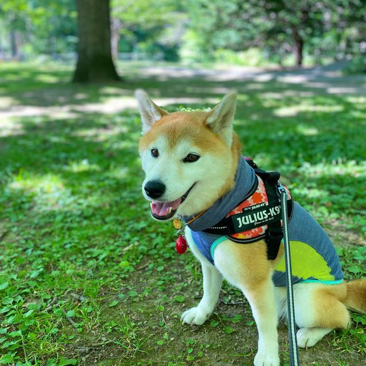 C9472889 37fa 4f35 87df c44613ad0b10 1626659053195