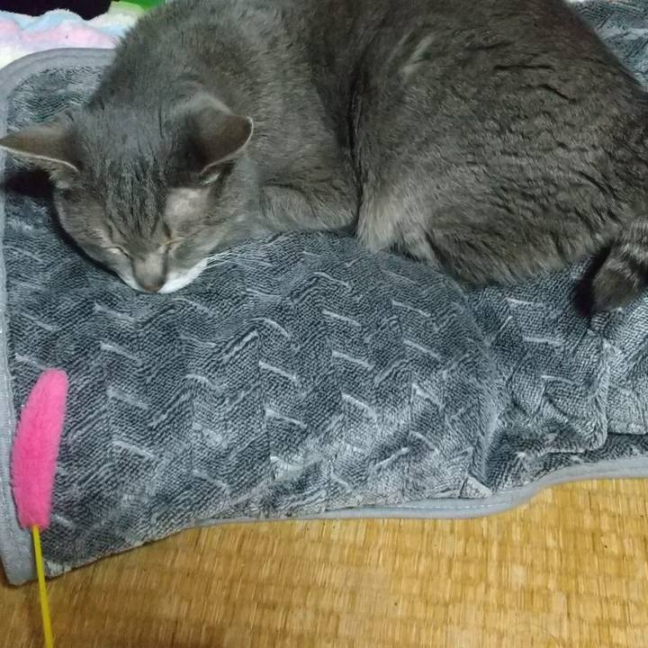 C9472fa4 d9ae 4abb a734 104dead42d2e 1682778184049