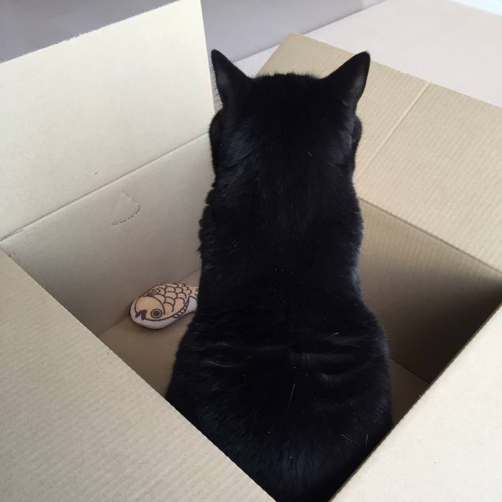 C947645c c501 43e5 aee1 6e16ec618132 1554712551044