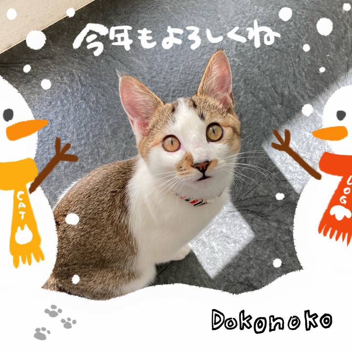 C9478164 ee13 45e5 8491 96bfb02423f8 1704071795701