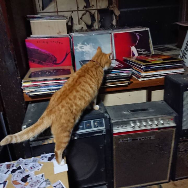 C947e1b6 650f 444c 84d3 b70b4c40573c 1607340427752