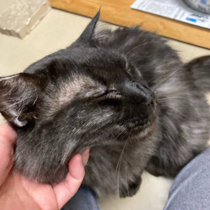 C947e530 5033 41e9 9747 a50ad2213833 1668638724822