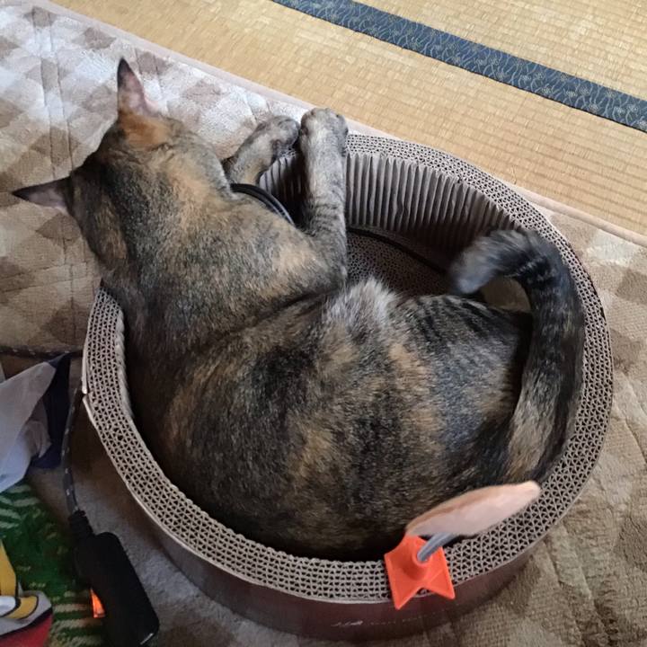 C947ffb5 a43c 414f 951c e8464013e3f8 1607645954777