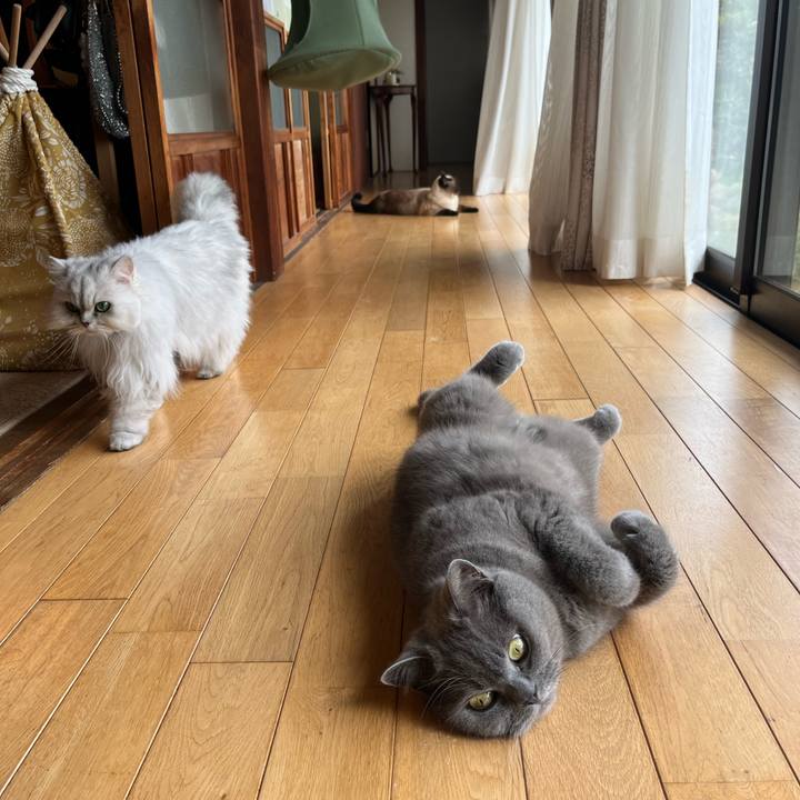 C948077b 165d 44d4 8a80 5297ba6e0399 1649635436202