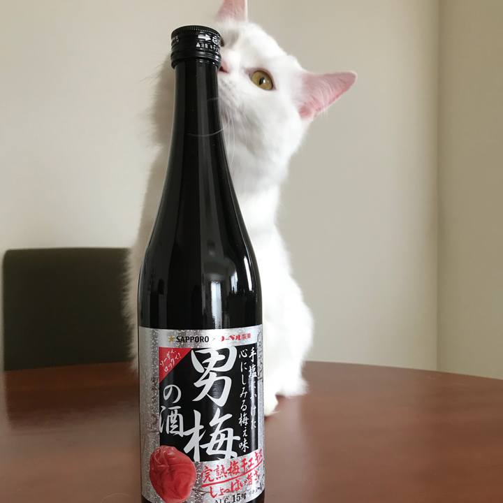 C9480fd7 efe6 419d b0b9 df1ba23f7904 1523712851331