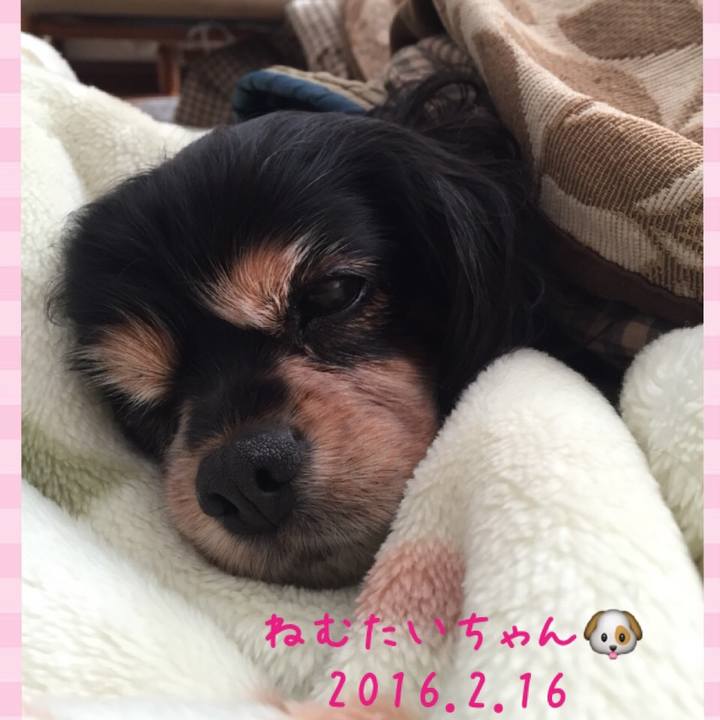 C9481cf0 f359 4918 a75a 31dff3e2b99a 1508568848020