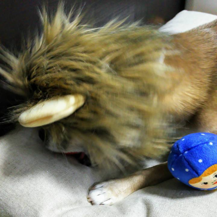 C94836ff 7e17 4b98 a627 c564b1b87d81 1616016196497