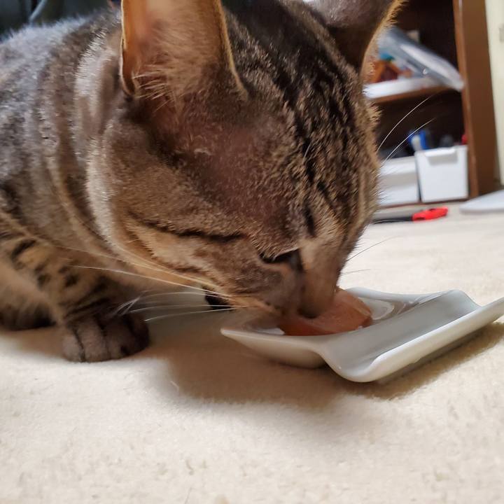 C9484687 90c4 4a31 925a 4bed49059a54 1695677043260