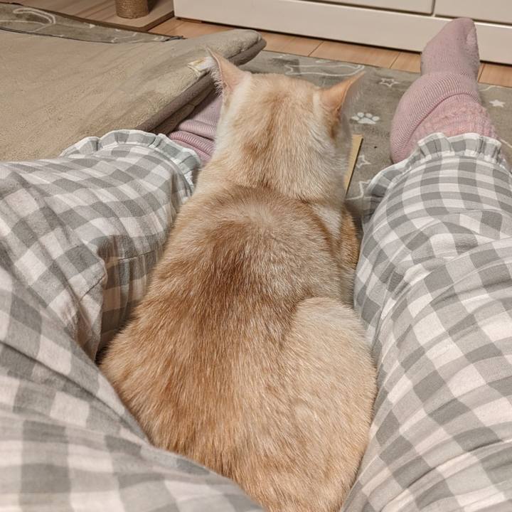 C9485f05 14a1 4b46 b792 cec501d8e2a6 1700318800021