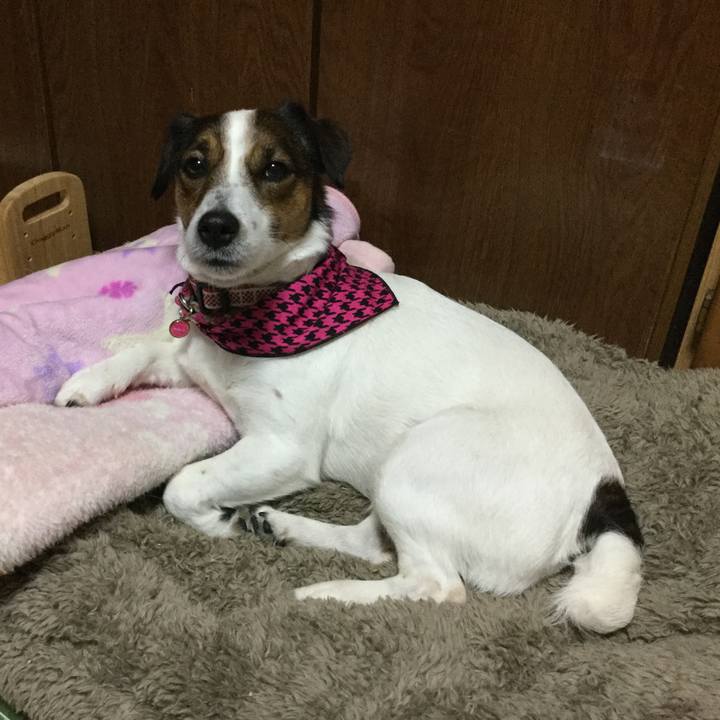 C9486343 e445 4841 b4b0 e5877cdb32be 1520671702051