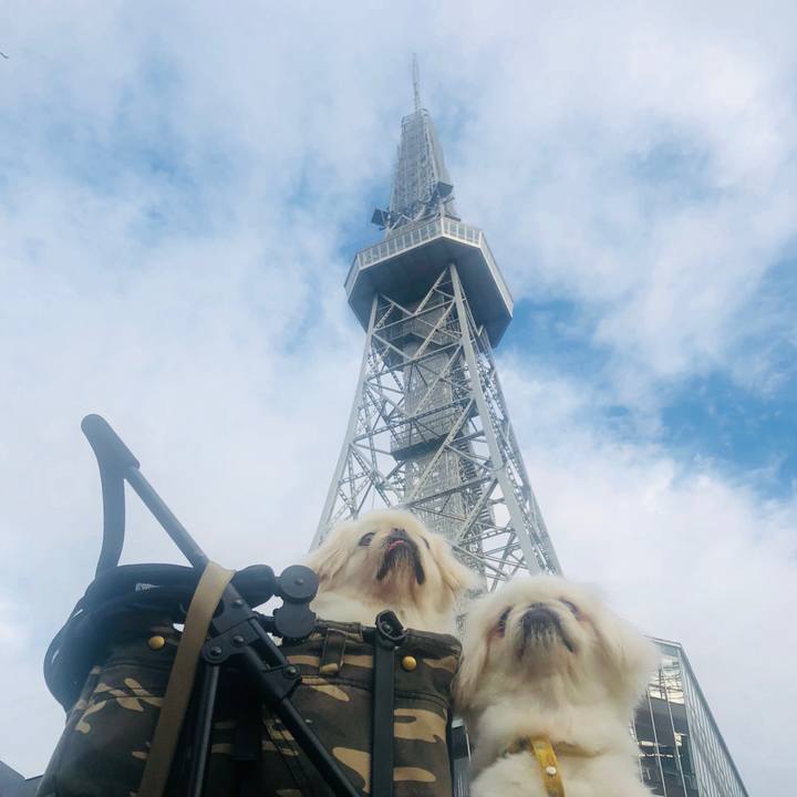 C9486346 8044 4319 9b18 dffef16ba719 1600471496127