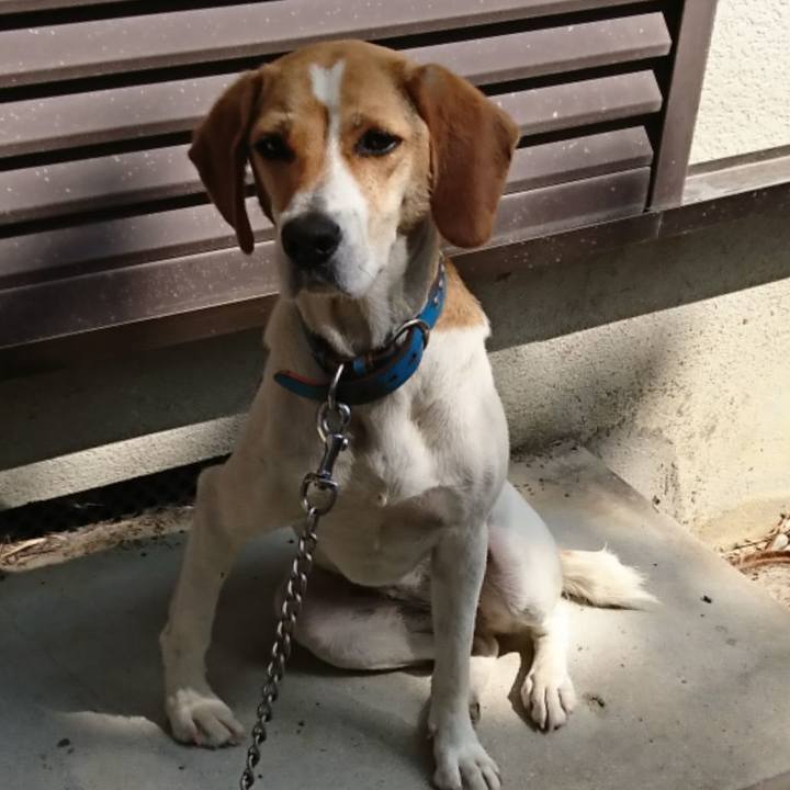 C9487856 1f55 49e2 9a11 b56b95d03527 1638541240362